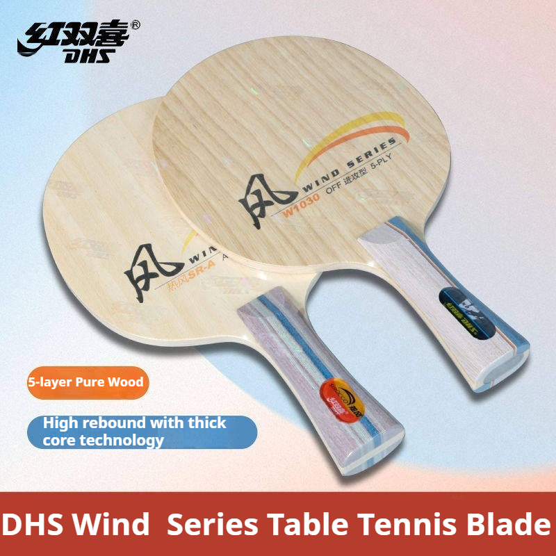 DHS WIND SERIES Table Tennis B - Table Tennis Paddle 评论和价格